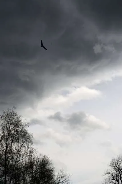 16-04-17 Drachenfliegertreffen 2016