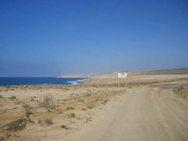 CIMG7969