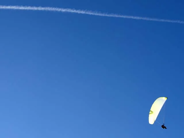MSK_5342