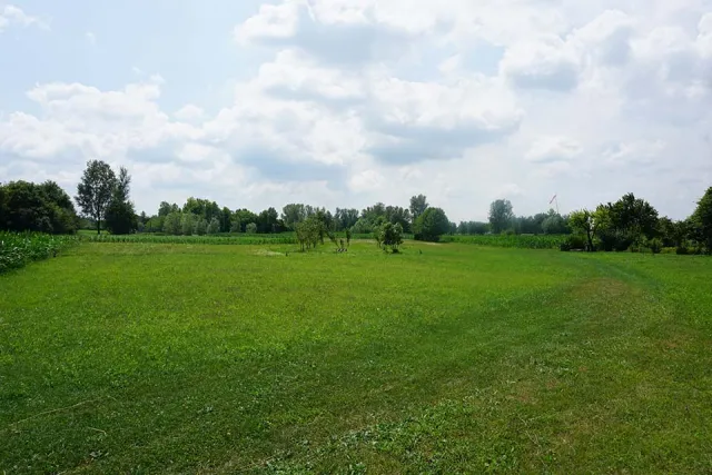 DSC02050