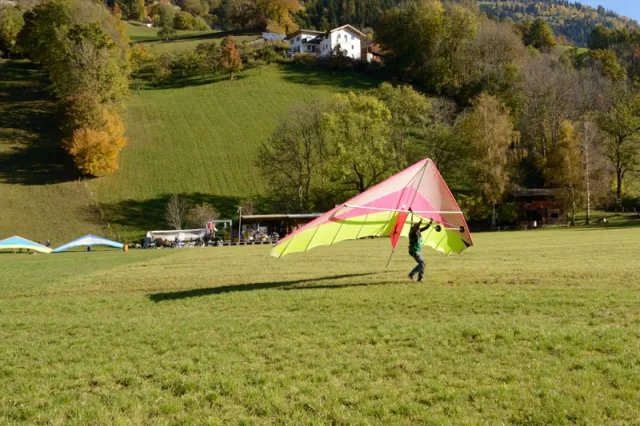 MSN_6961