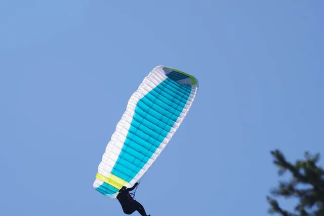 IMGP2008