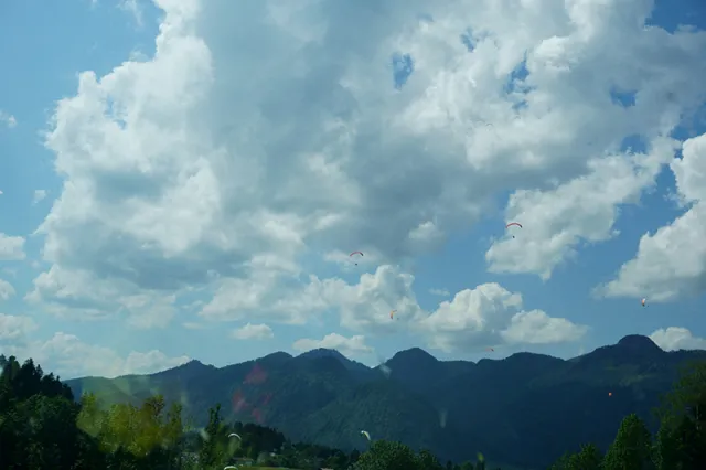 DSC03225