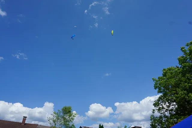 DSC03239