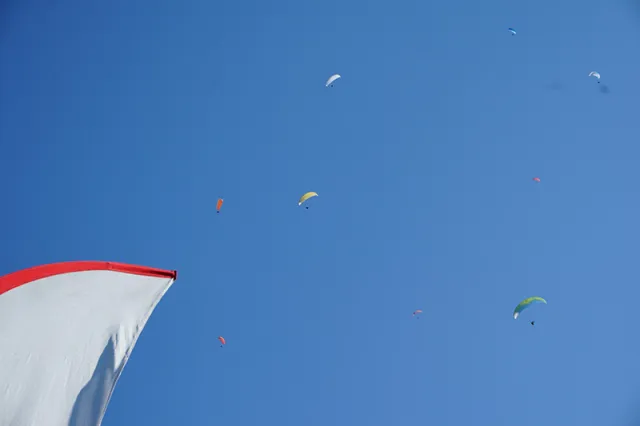 DSC03339