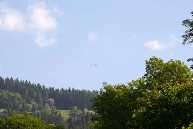 15-05-30 Höhenflüge