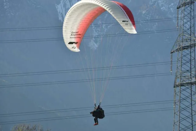 MSK_2243