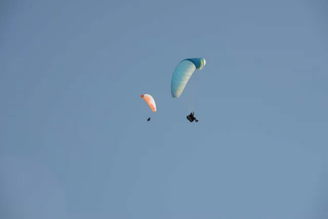 MSK_1768