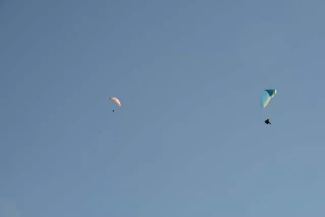 MSK_1769