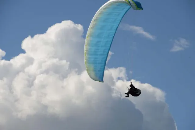 MSK_1772