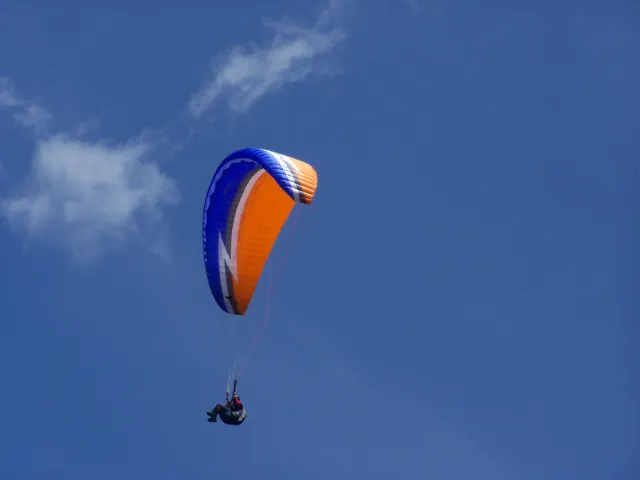 100_6361