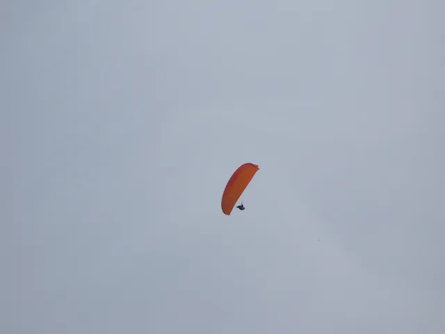 102_6058