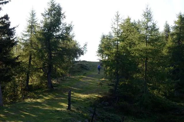 16-09-10_Fruehstuecksfliegen