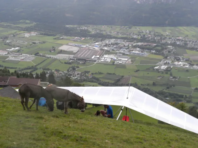 FledgeMeetingudiverse2010 069