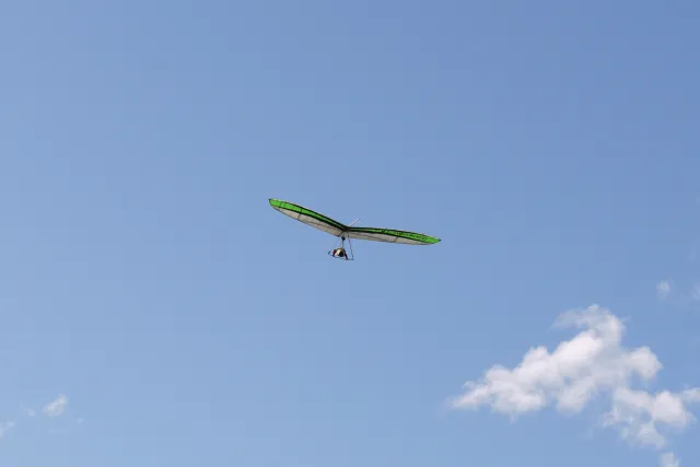 FledgeMeetingudiverseFlegde2010 172