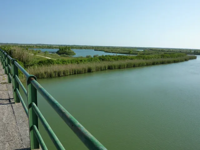 P1030584