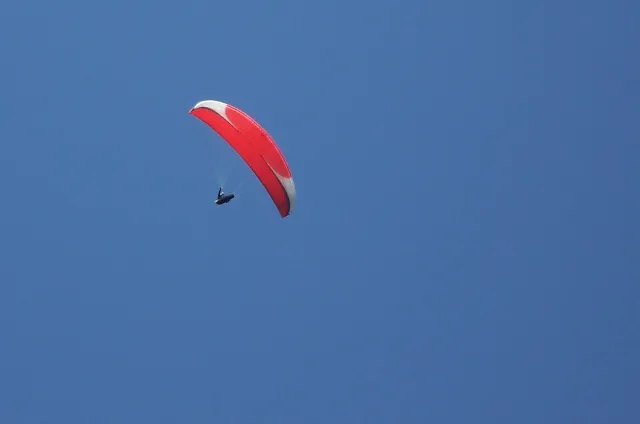 102_8242
