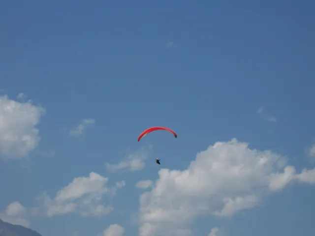 102_8253