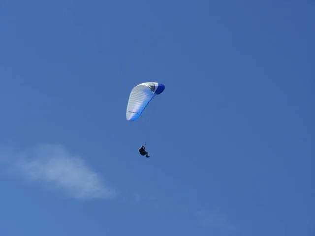 100_8556