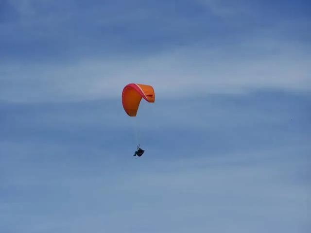 100_8583
