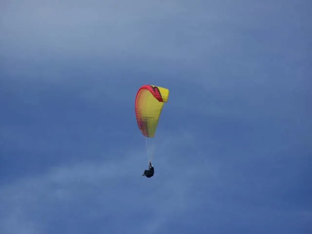 100_8596