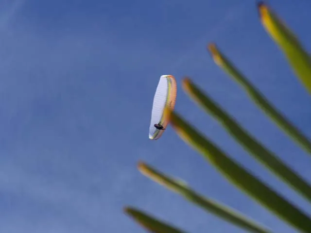 100_8625