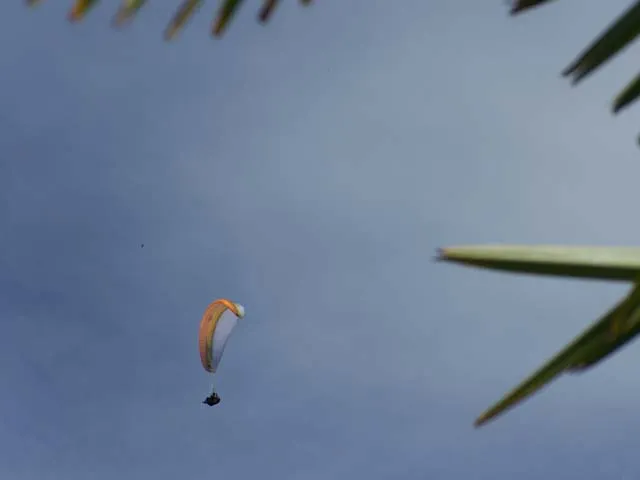 100_8626
