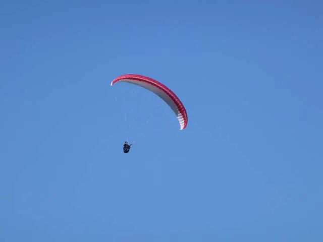 P1000282