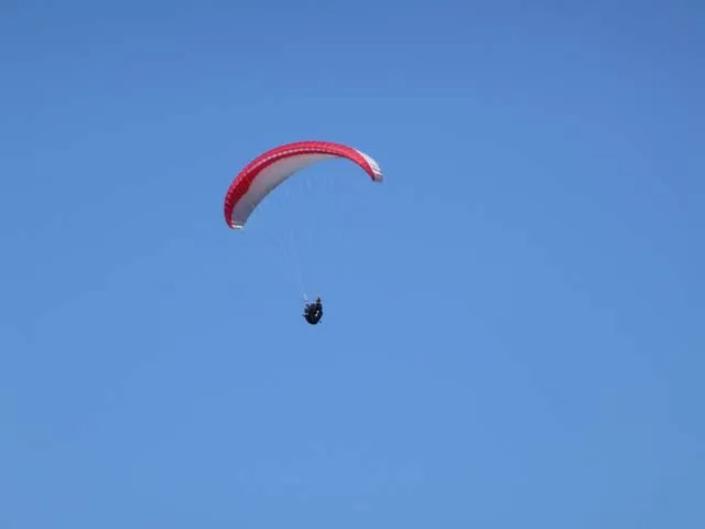P1000288