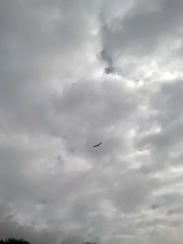 07052012472