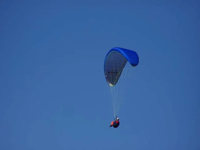 106_1529