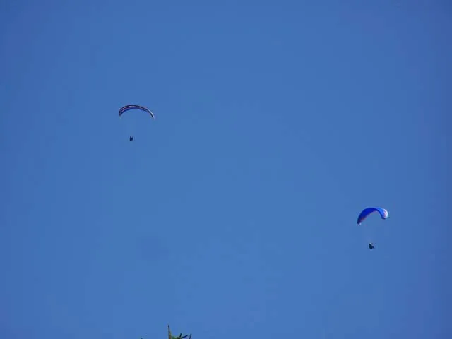 106_1539