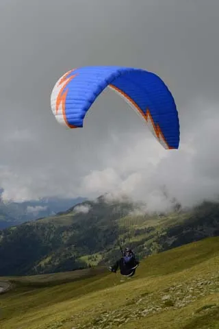 MSK_0704