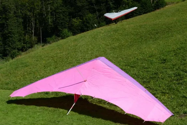 MSK_0777