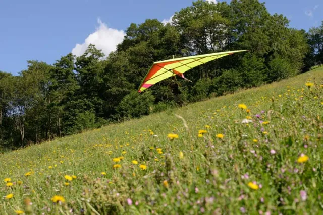 MSK_4485