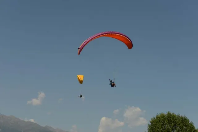 MSK_4574