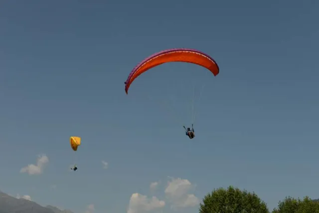 MSK_4575